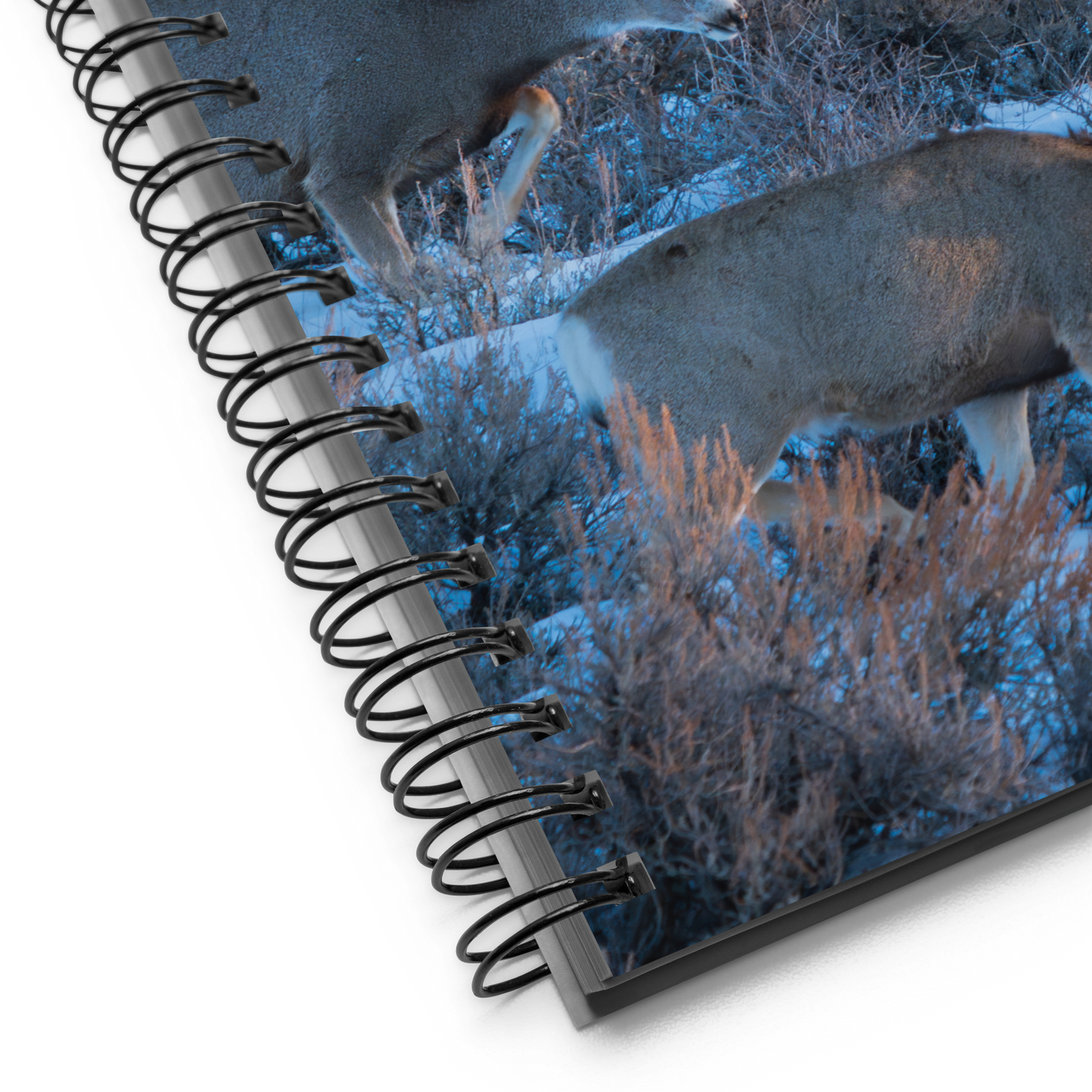 Deer in the Snow: The Notebook That Brings Wyoming Winter to Life