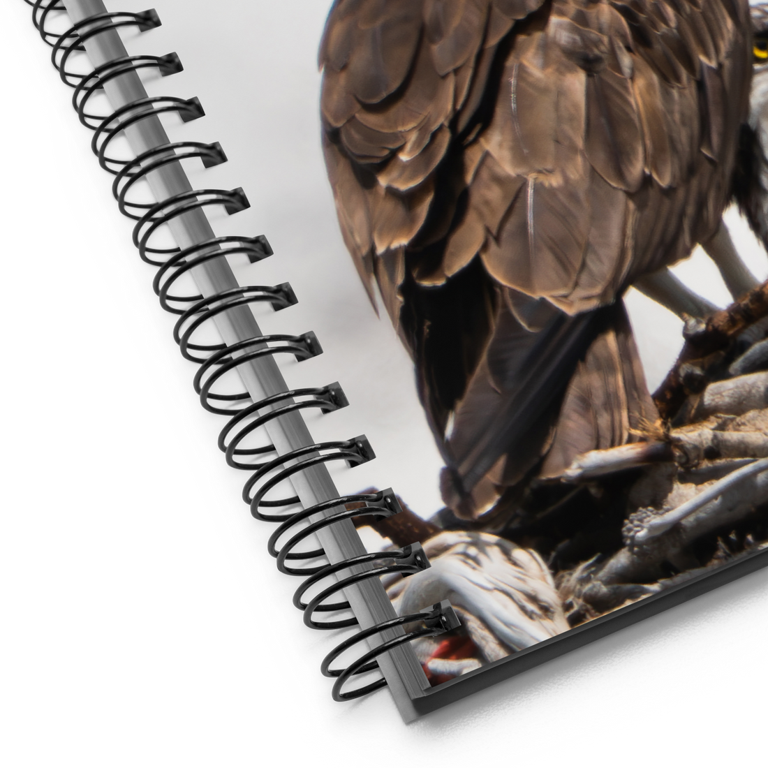 Osprey Devotion Notebook