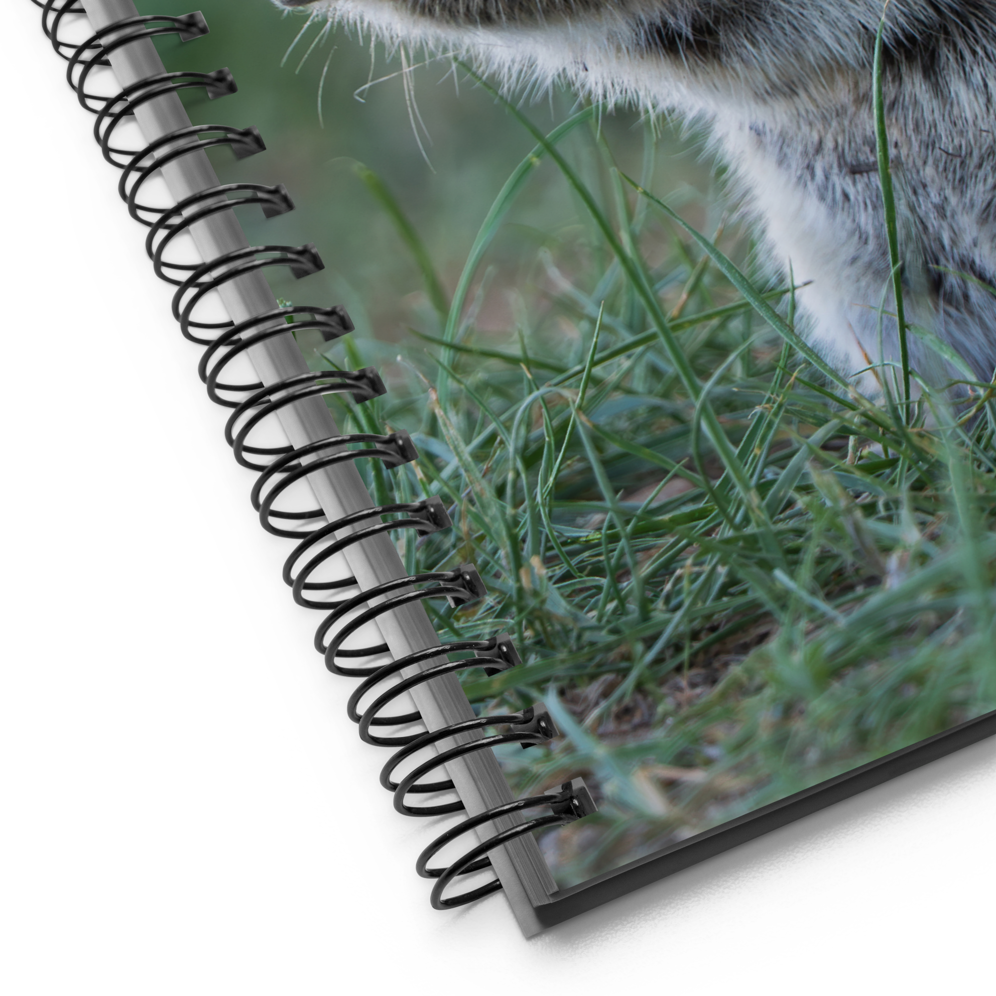 Ground Squirrel Grace Notebook