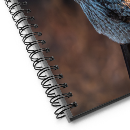 Where Night Meets Day — Owl Notebook