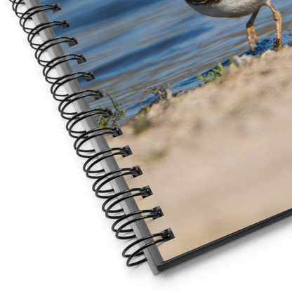Always Almost Missed — Killdeer Notebook