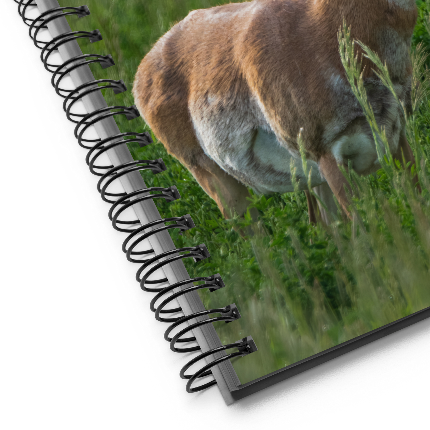 Wild Pronghorn Notebook