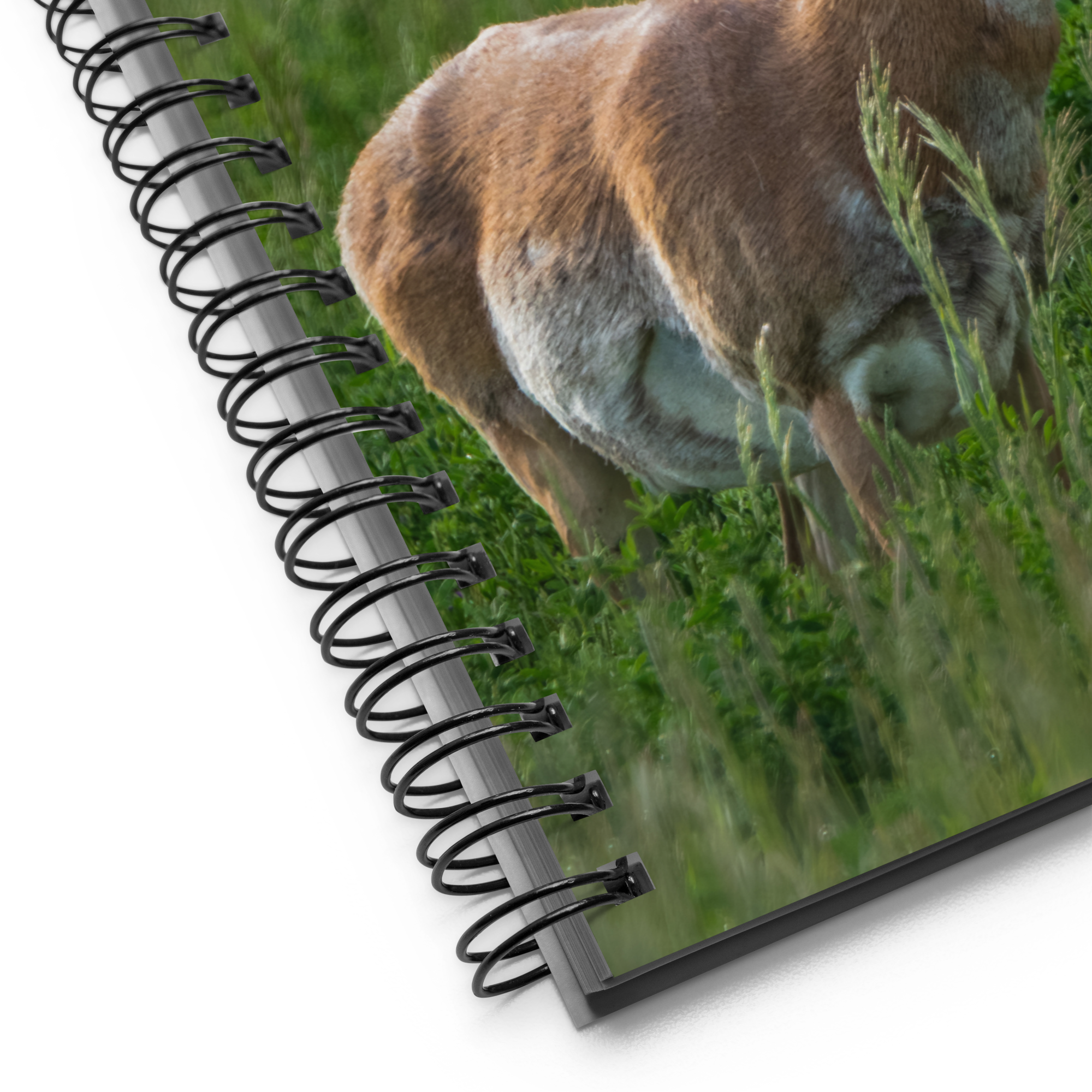 Wild Pronghorn Notebook