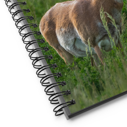 Wild Pronghorn Notebook