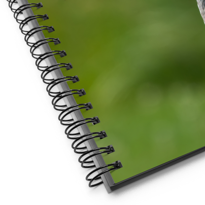 Sandhill Crane Notebook: Lessons from the Wild
