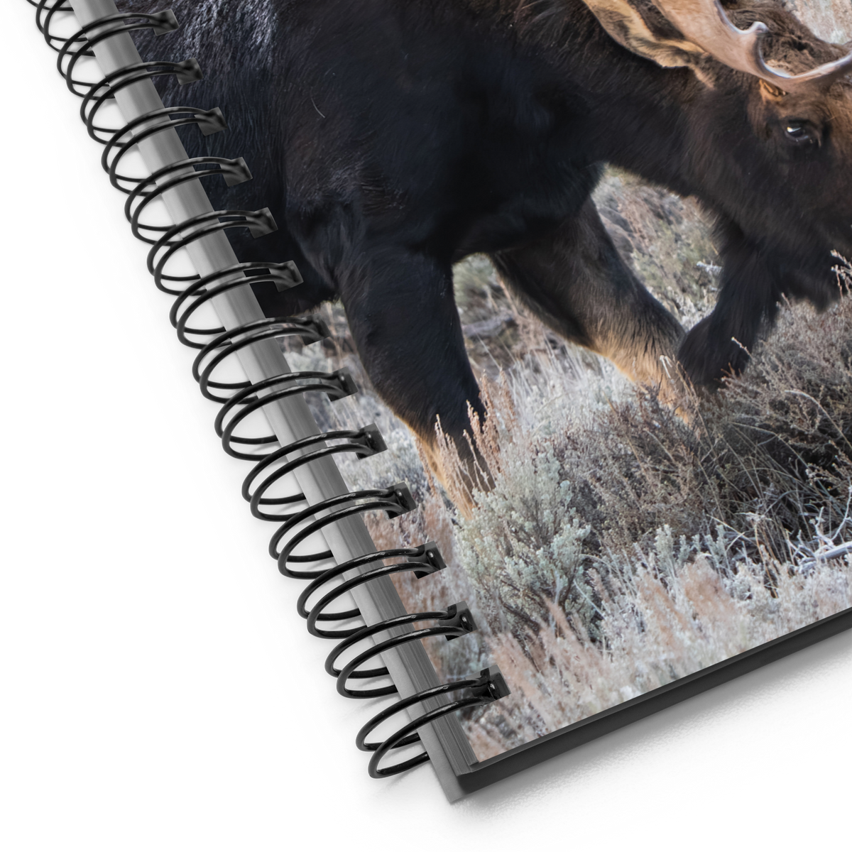 Where the Moose Roam Notebook | A Place for Your Wildest Thoughts