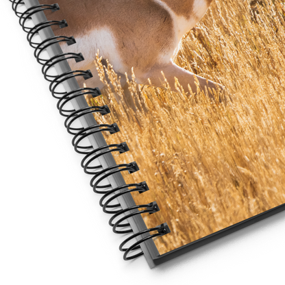 Pronghorn Notebook | Where Stillness Finds You