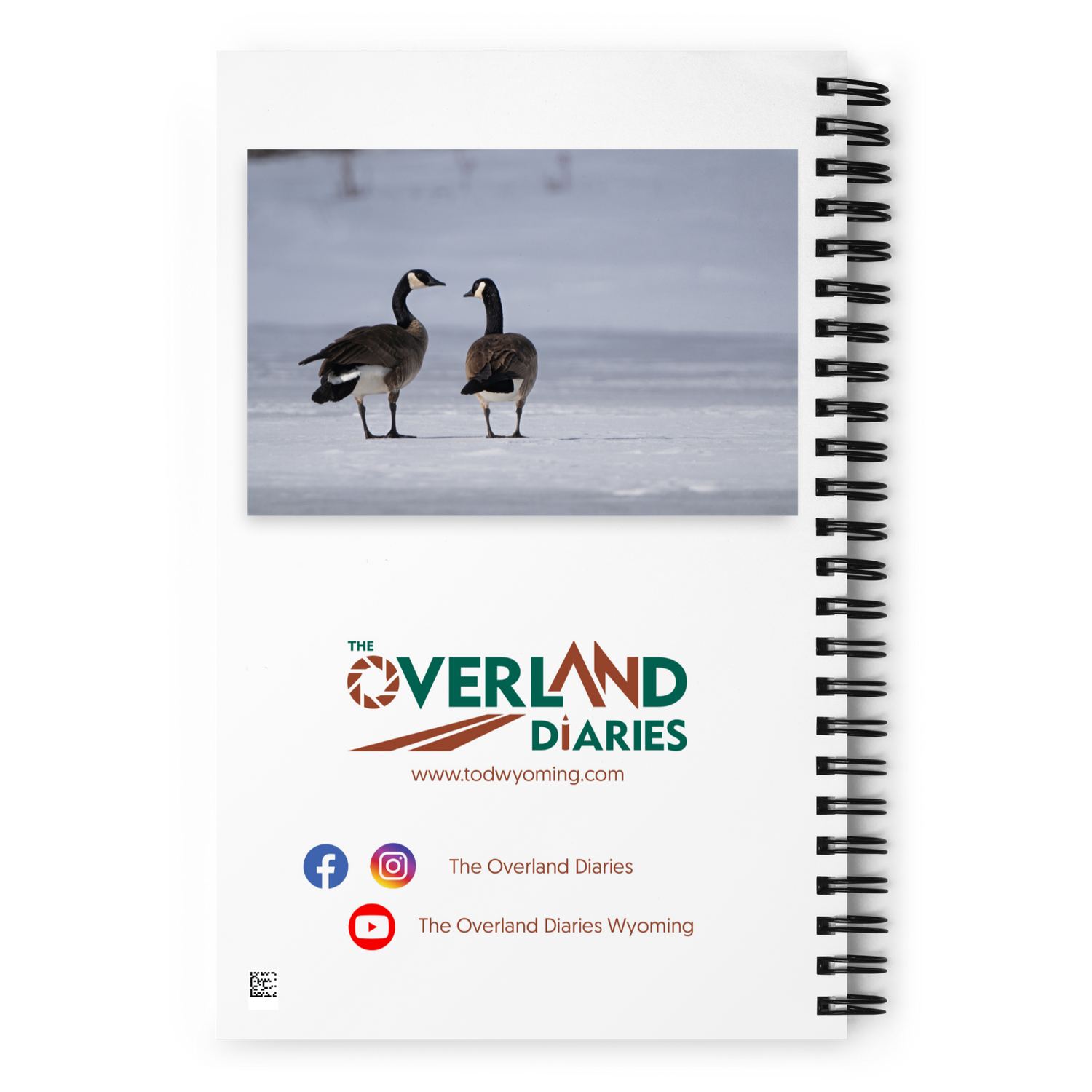 Canada Geese Notebook: A Story of Winter&