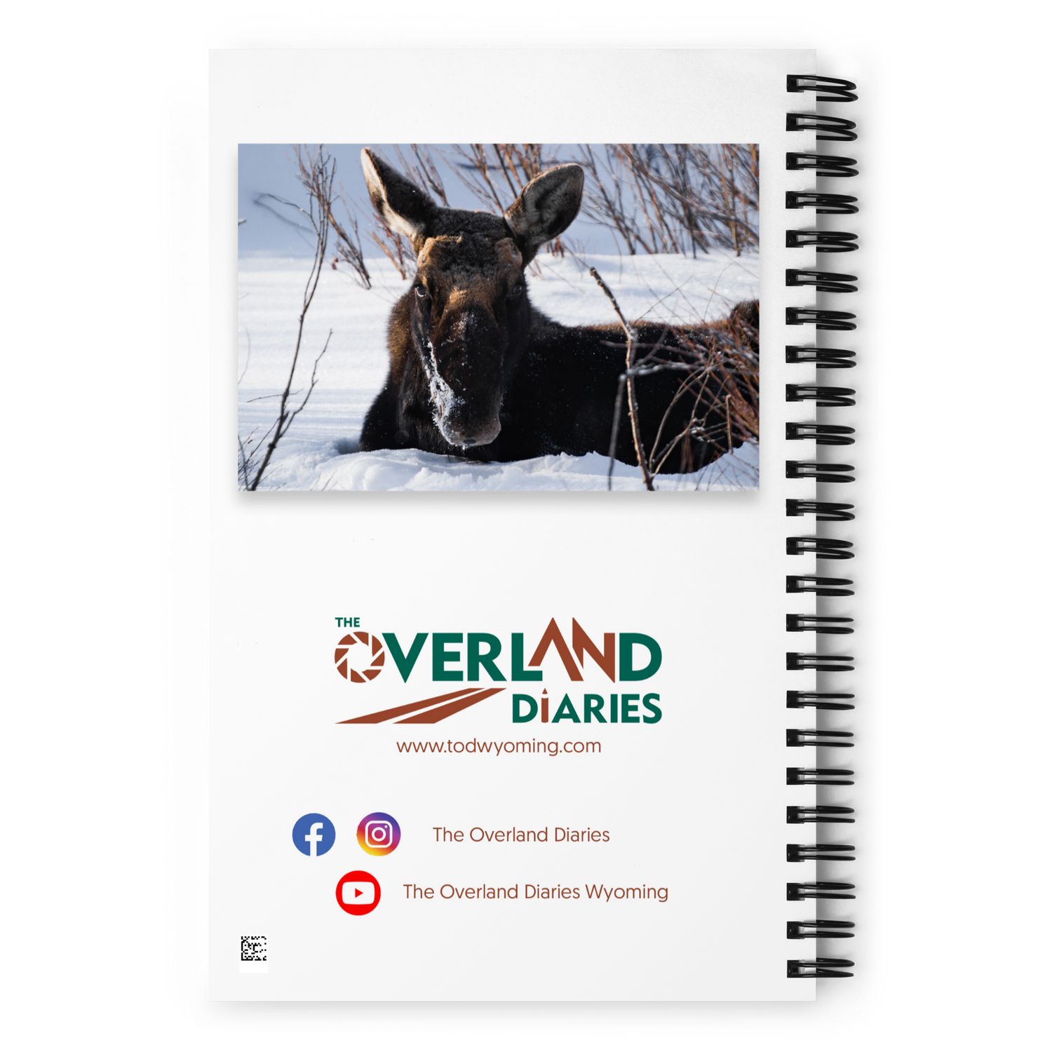 Moose Moments Notebook: Write Your Own Wild Stories