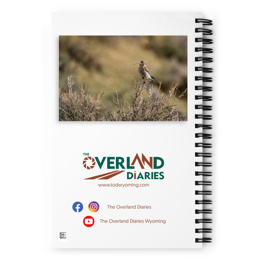 Female Mountain Bluebird Spiral notebook