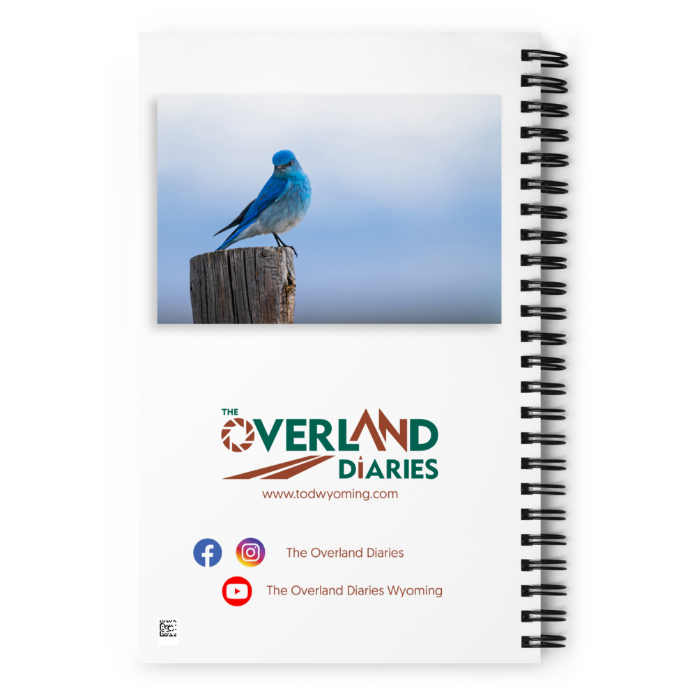 Mountain Bluebird Spiral notebook