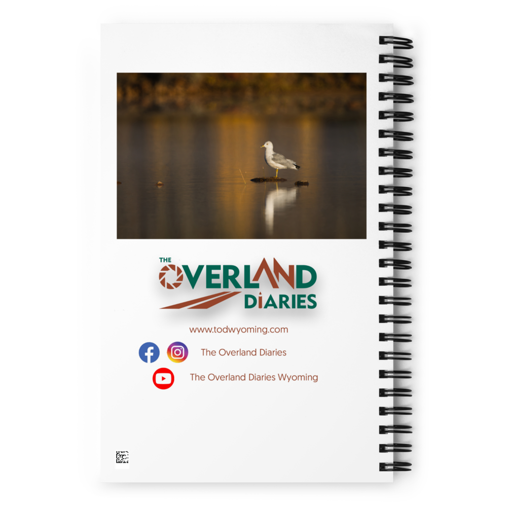 Ring-Billed Gull Spiral Notebook