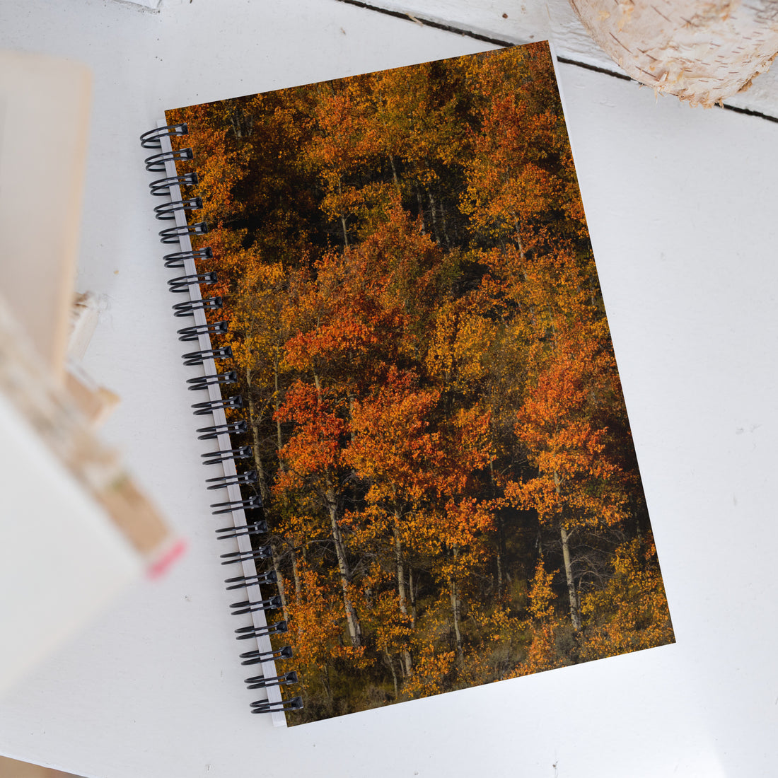Aspens in the Fall Spiral Notebook