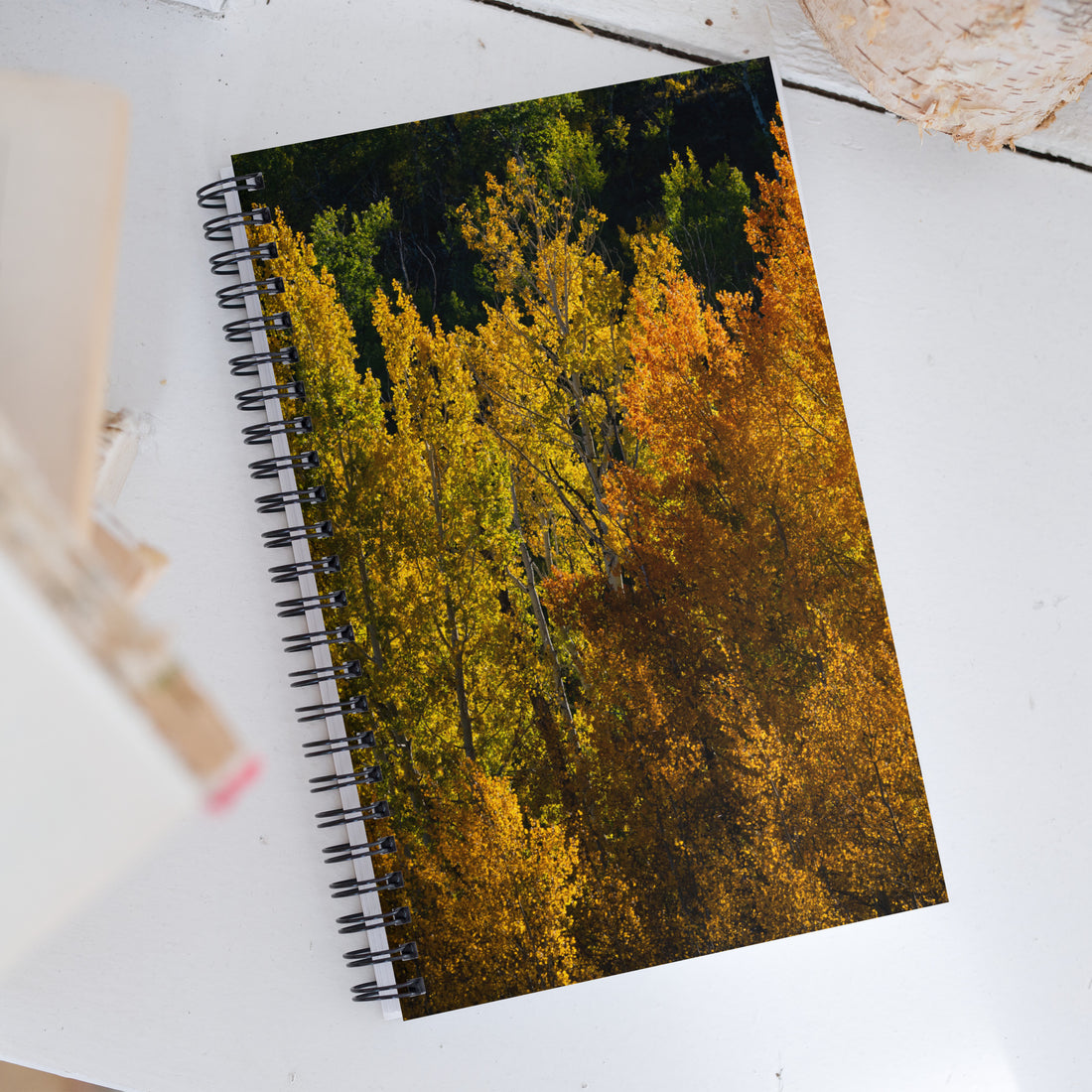 Aspens in the Fall Spiral Notebook