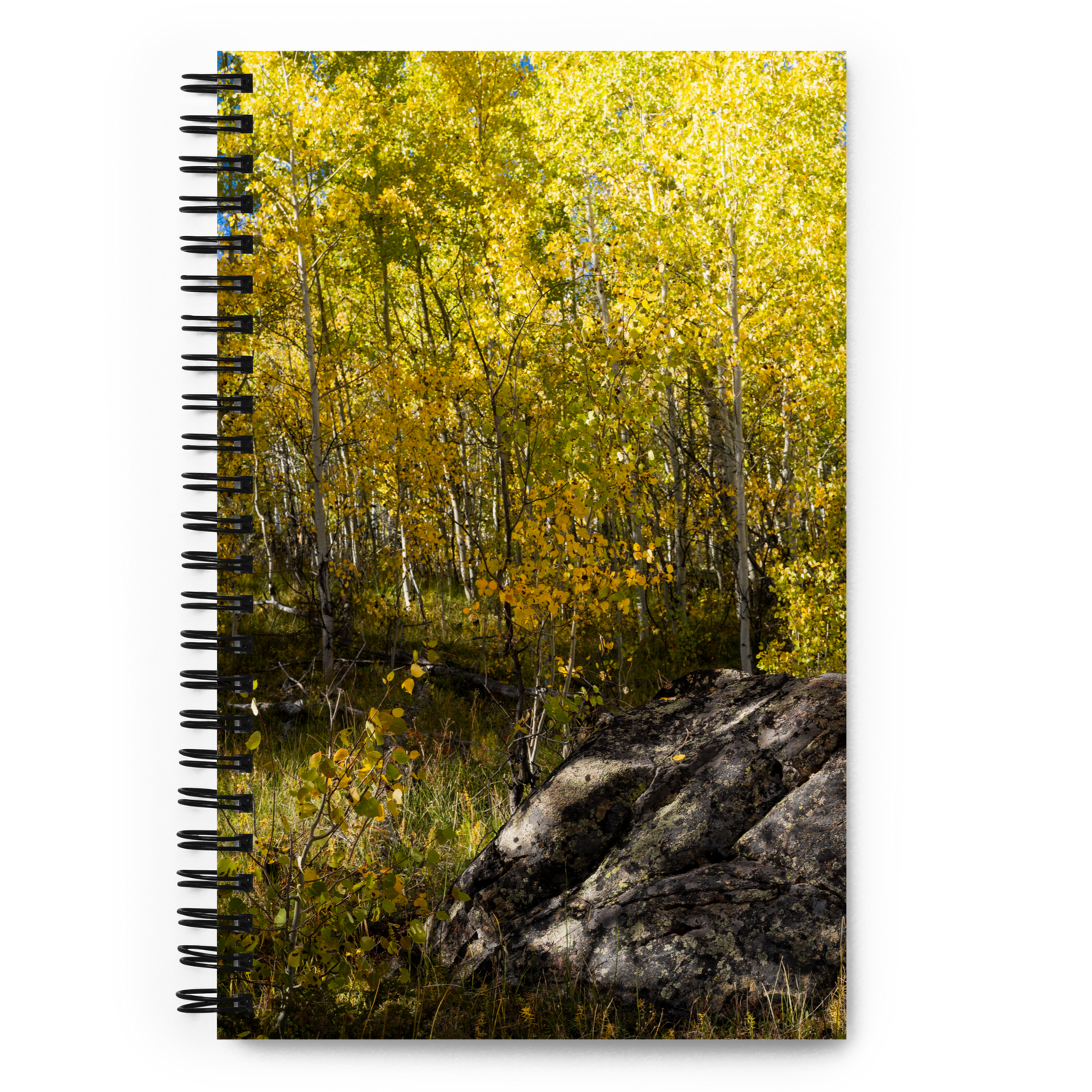 Rock With Aspens Spiral Notebook