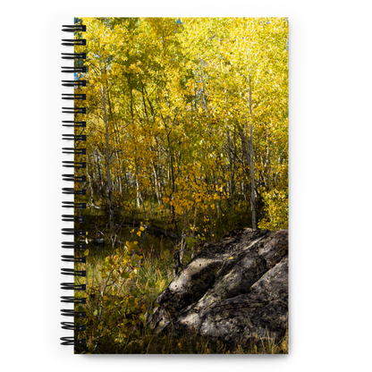 Rock With Aspens Spiral Notebook