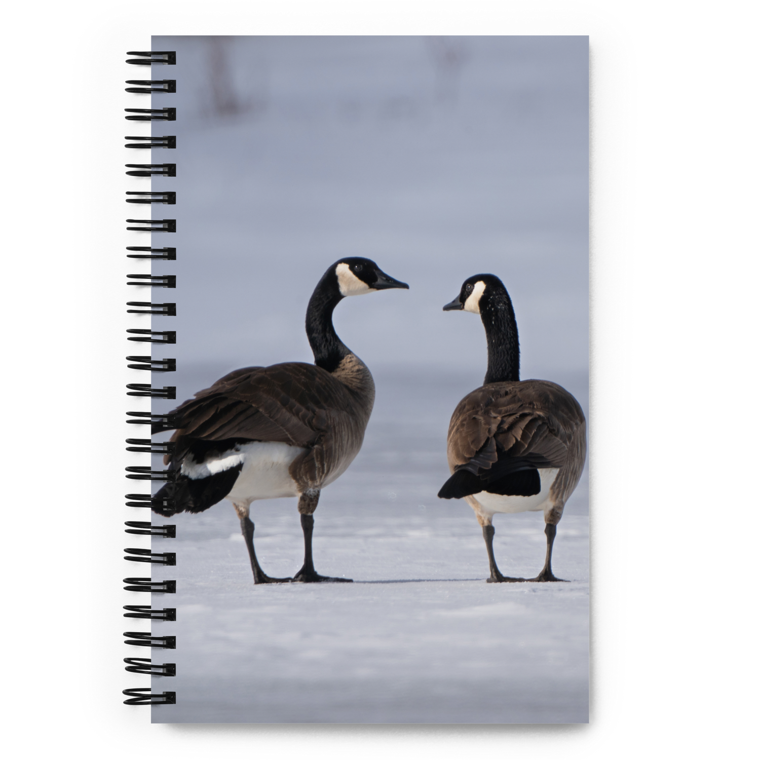 Canada Geese Notebook: A Story of Winter&