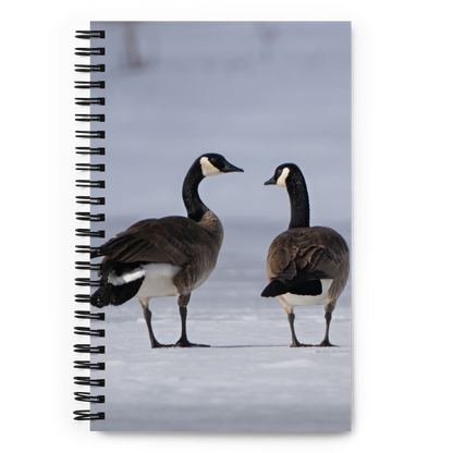 Canada Geese Notebook: A Story of Winter&