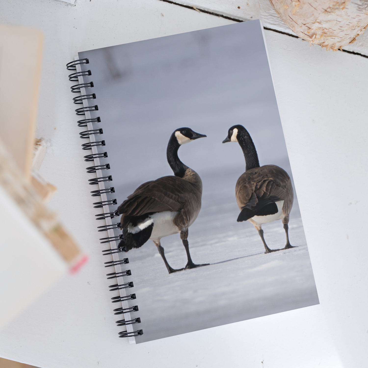 Canada Geese Notebook: A Story of Winter&