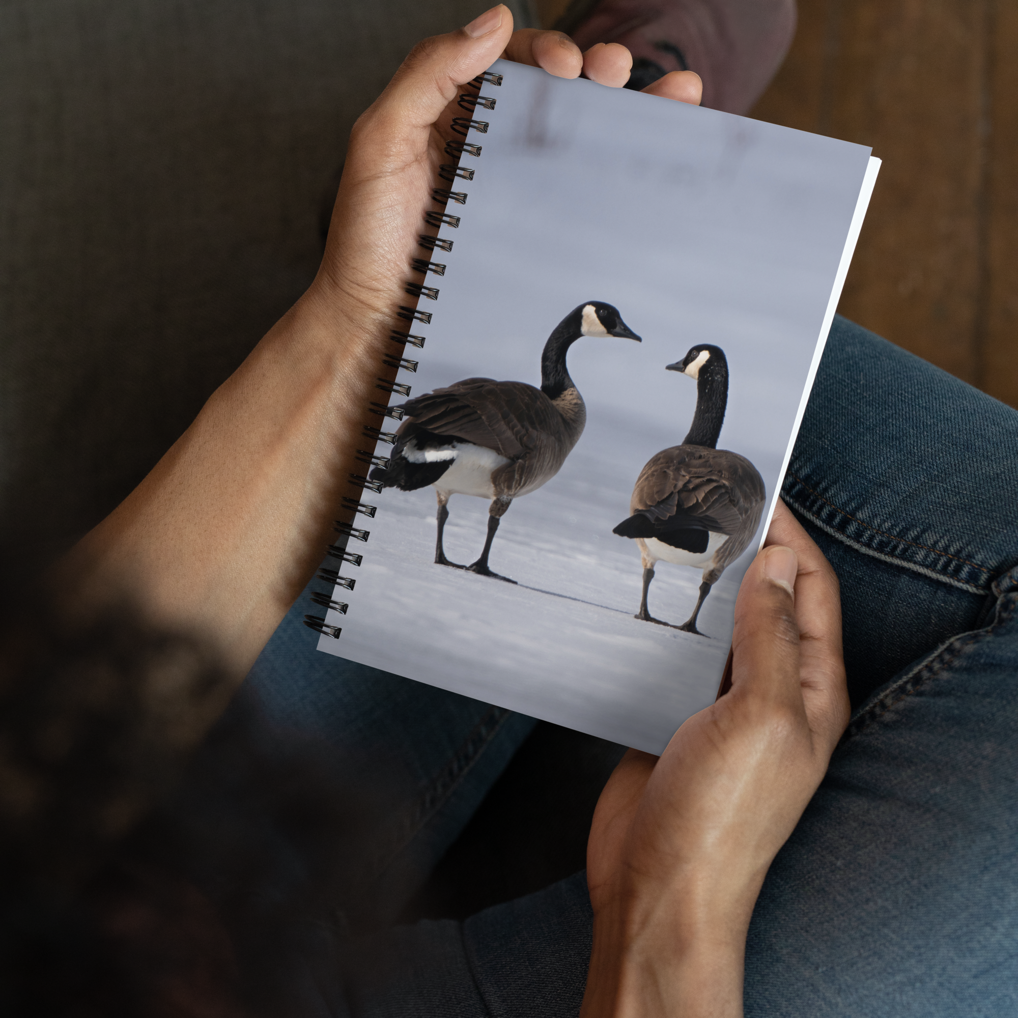 Canada Geese Notebook: A Story of Winter&