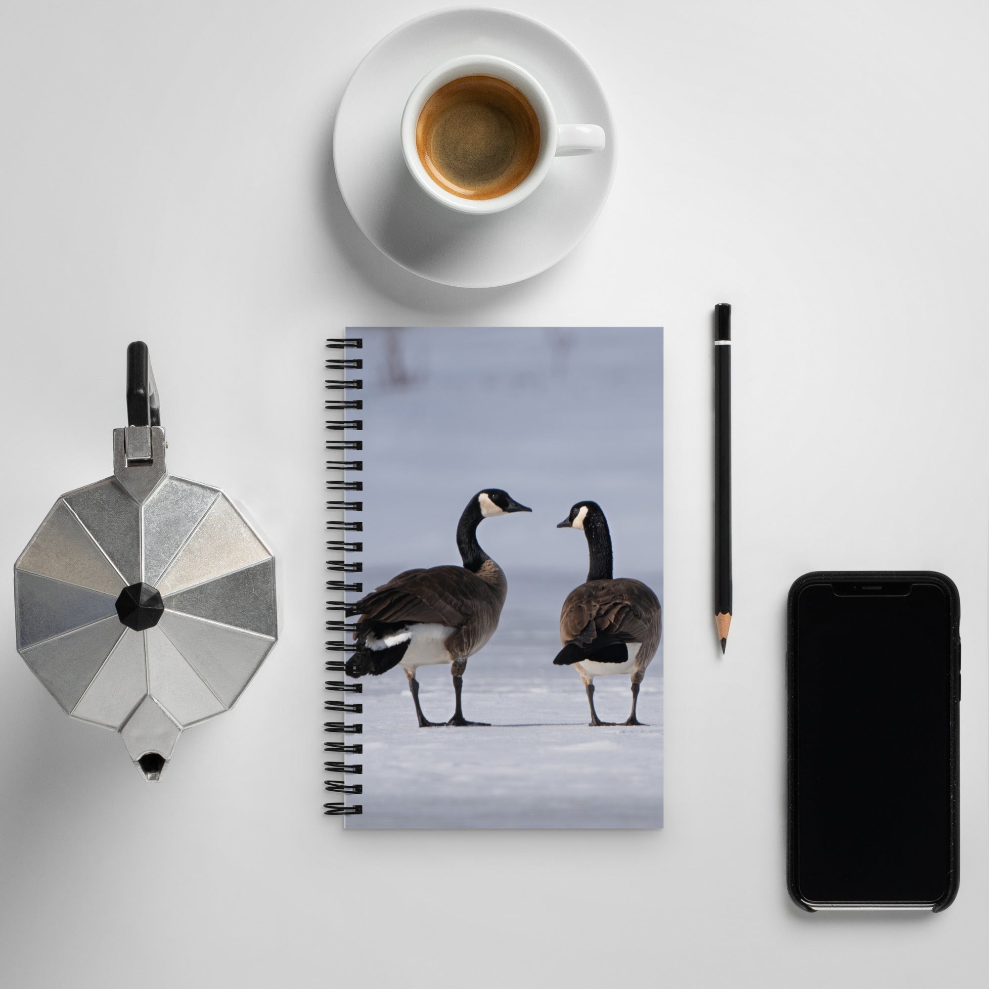 Canada Geese Notebook: A Story of Winter&