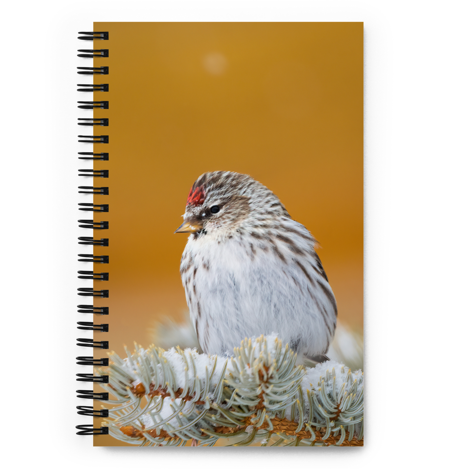 Little Bird Notebook: A Journey of Winter Wonders