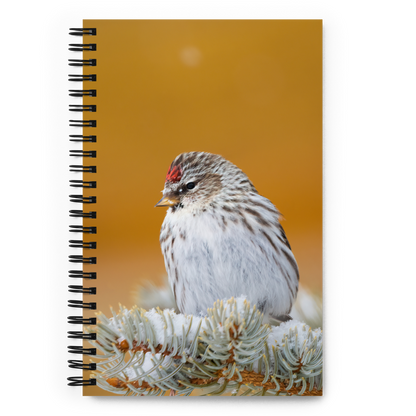 Little Bird Notebook: A Journey of Winter Wonders