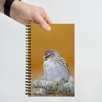 Little Bird Notebook: A Journey of Winter Wonders