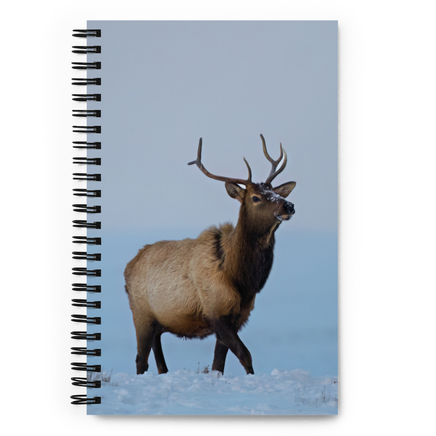 Elk Encounter Notebook: A Moment of Wyoming’s Wild Heart