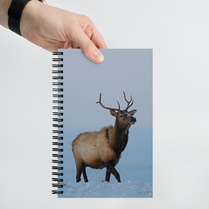 Elk Encounter Notebook: A Moment of Wyoming’s Wild Heart