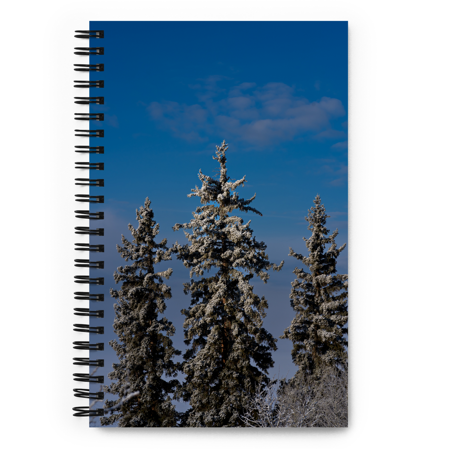 Winter Wonderland Spiral notebook