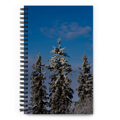 Winter Wonderland Spiral notebook
