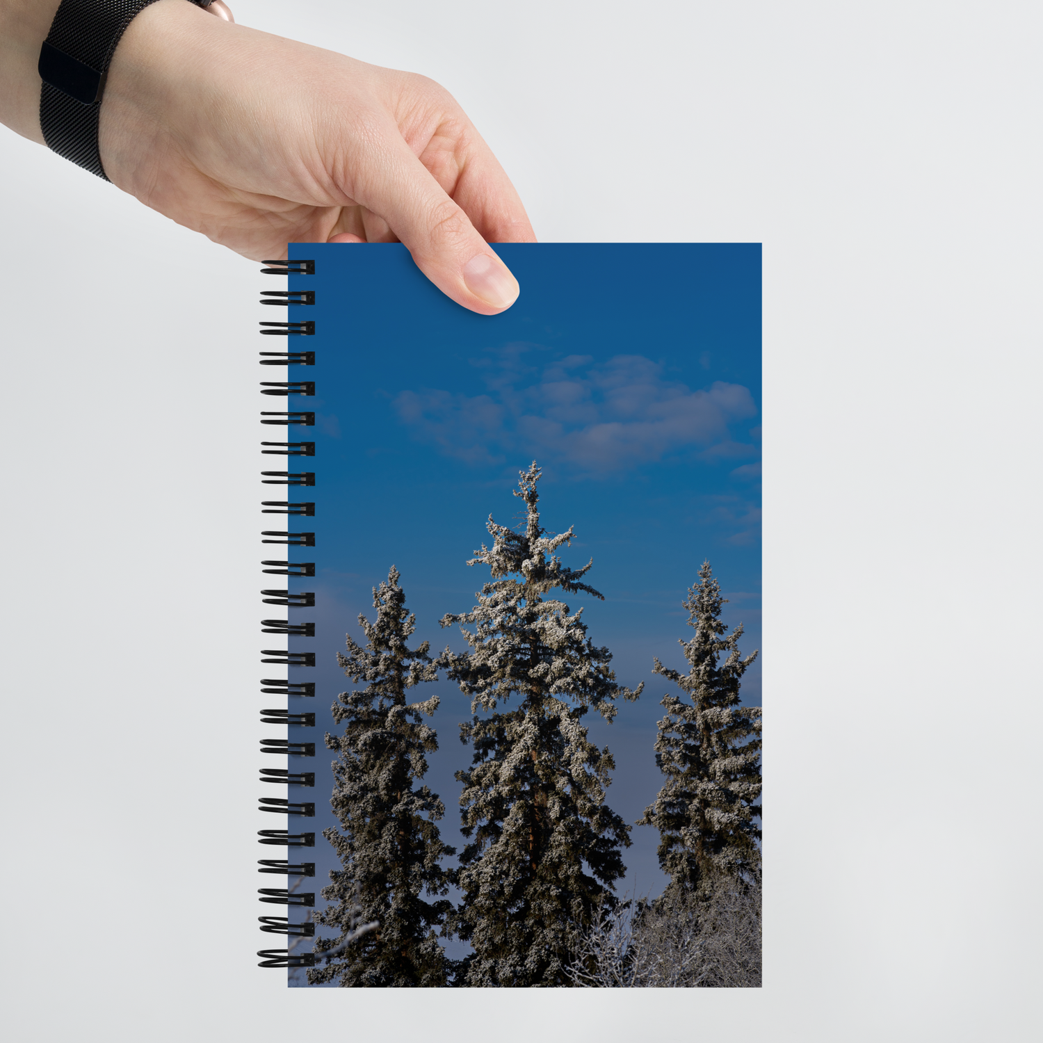 Winter Wonderland Spiral notebook