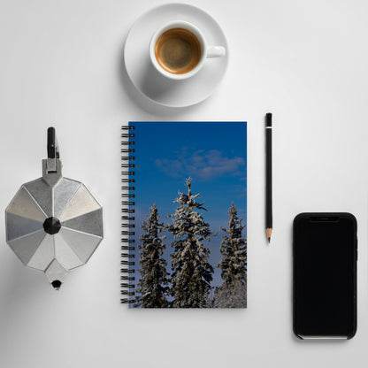 Winter Wonderland Spiral notebook