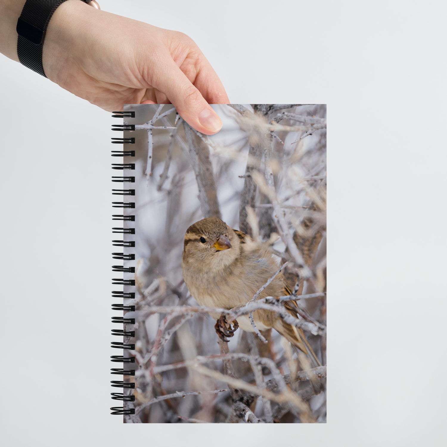 House Sparrow Spiral notebook
