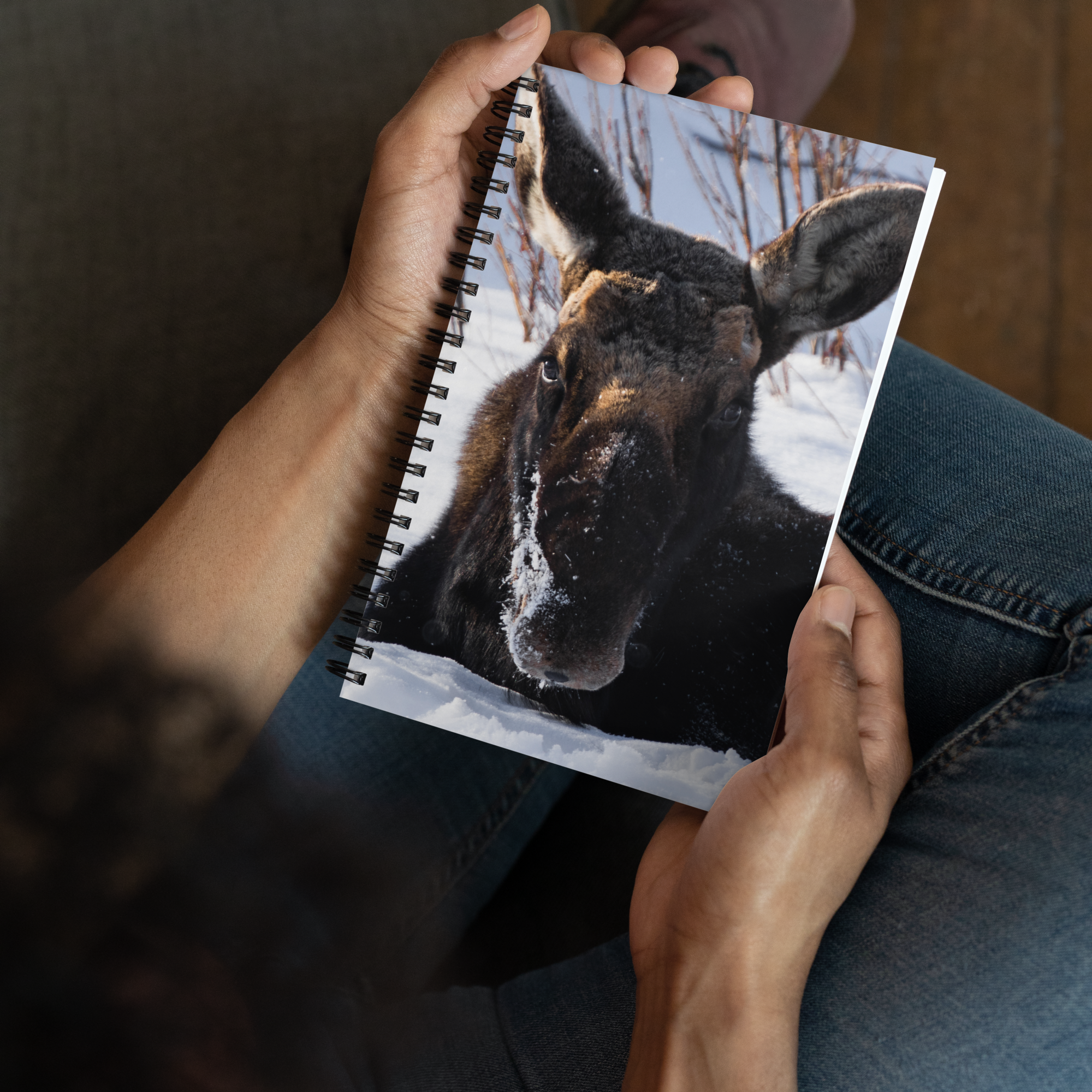 Moose Moments Notebook: Write Your Own Wild Stories