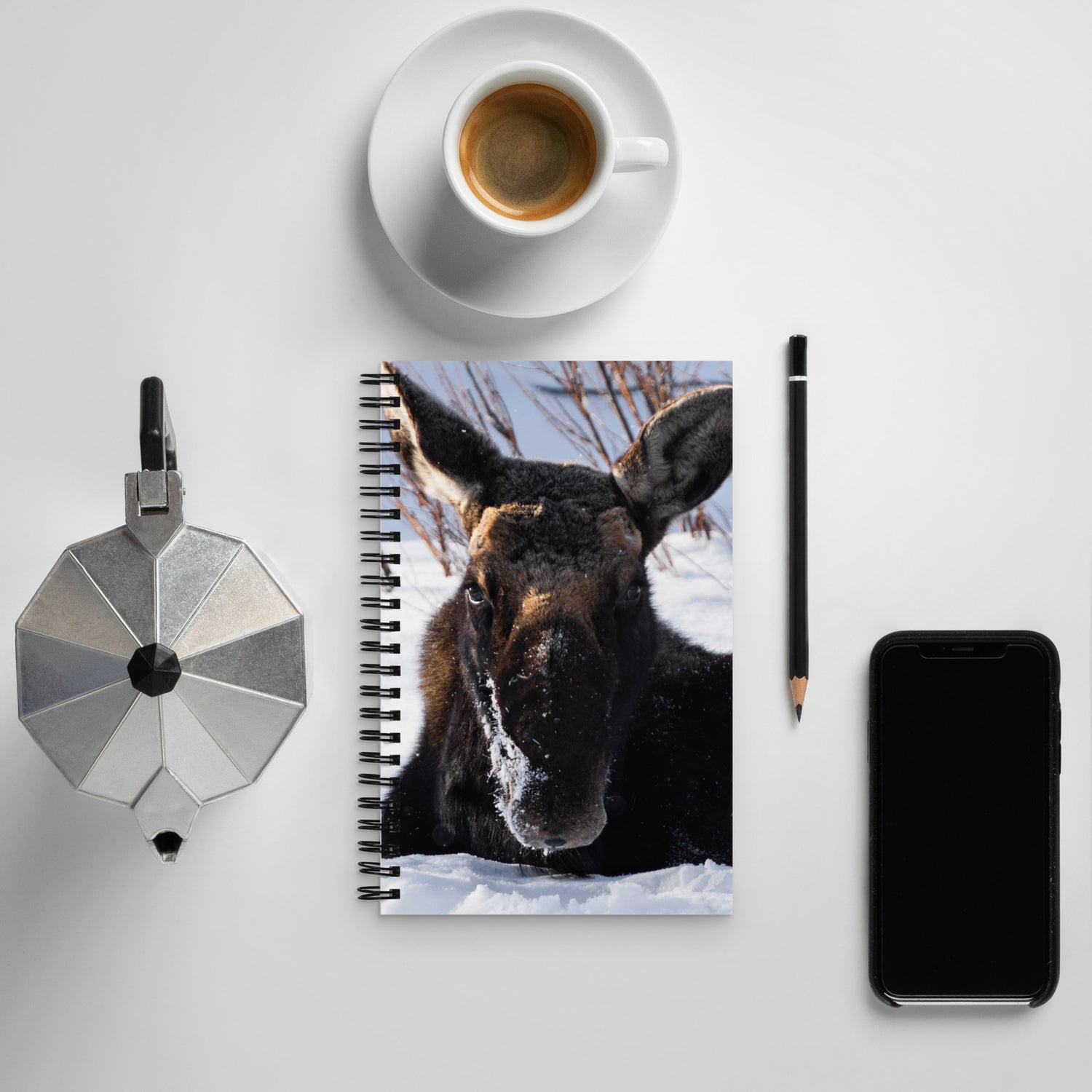 Moose Moments Notebook: Write Your Own Wild Stories