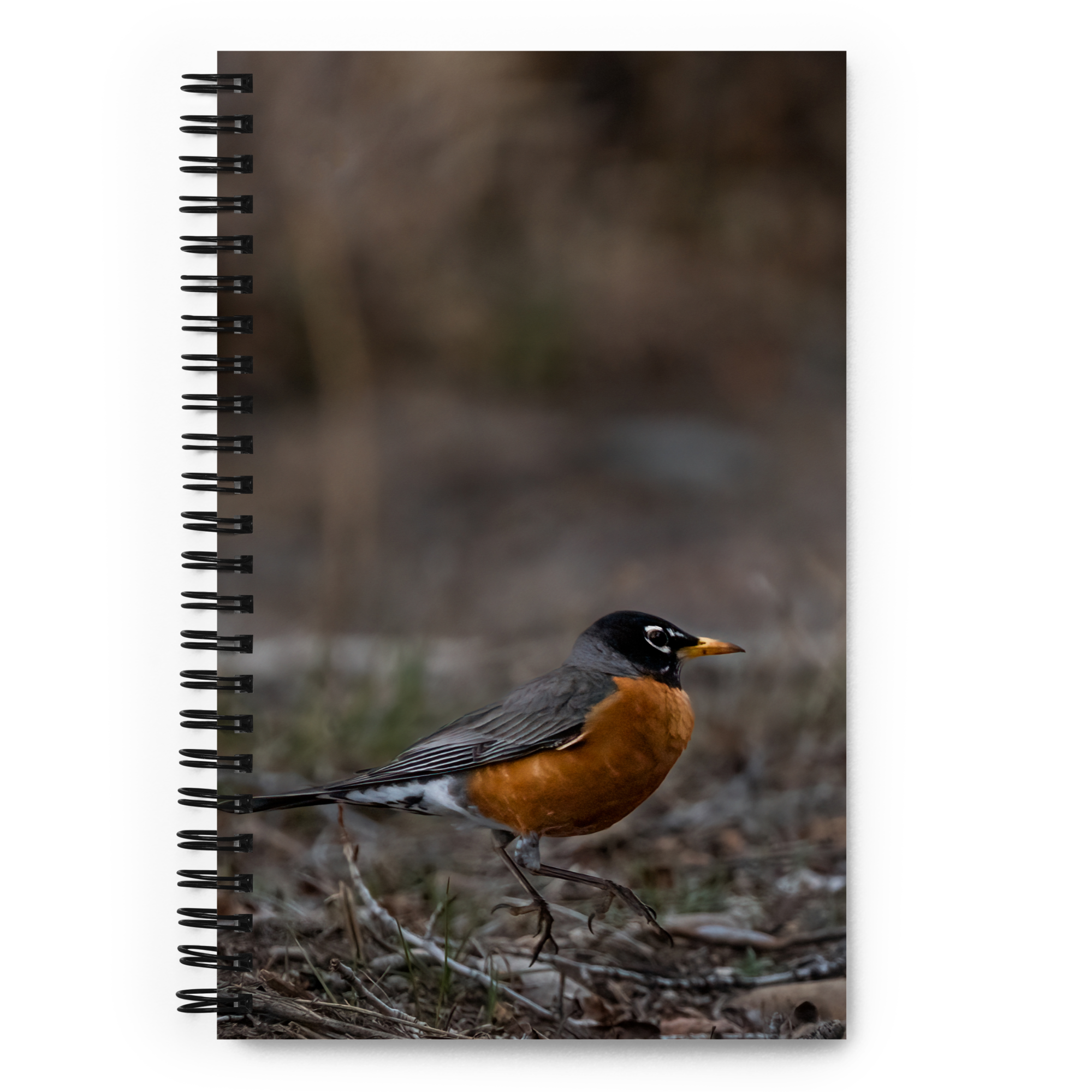 Bobbin Robin Spiral notebook