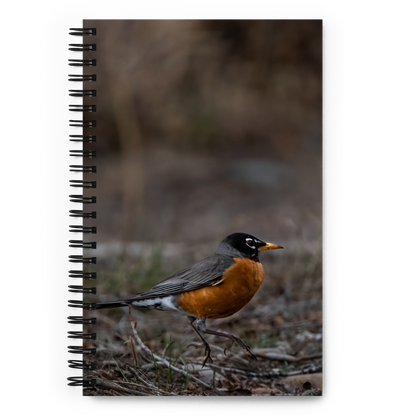 Bobbin Robin Spiral notebook