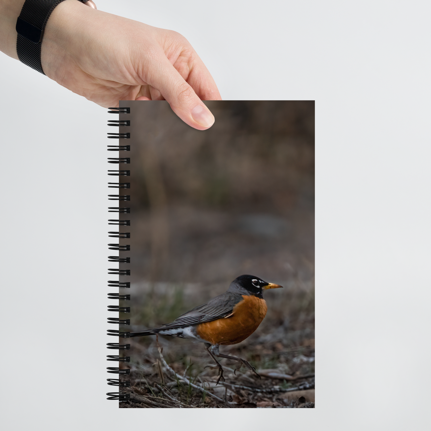 Bobbin Robin Spiral notebook