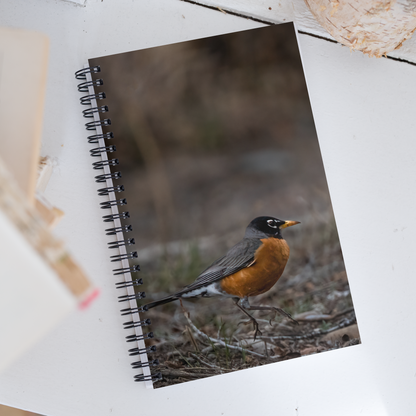 Bobbin Robin Spiral notebook