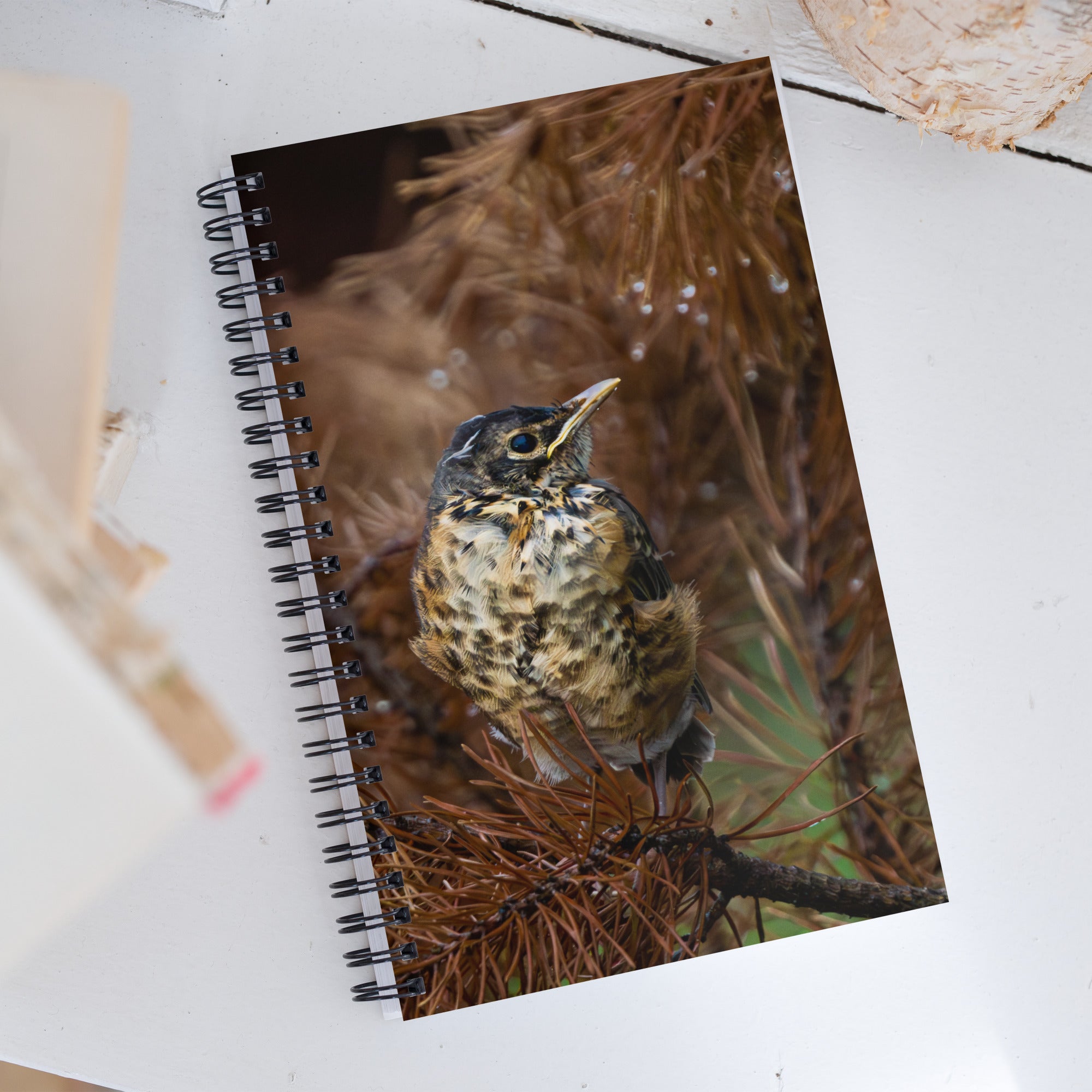 Baby Robin Spiral notebook