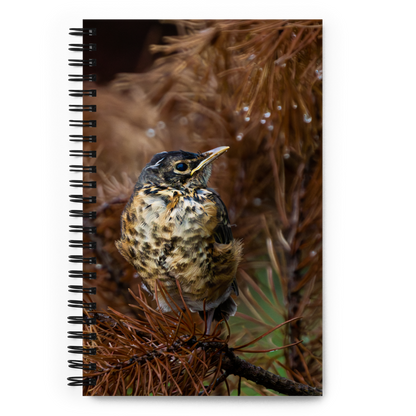 Baby Robin Spiral notebook