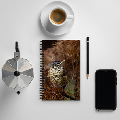 Baby Robin Spiral notebook