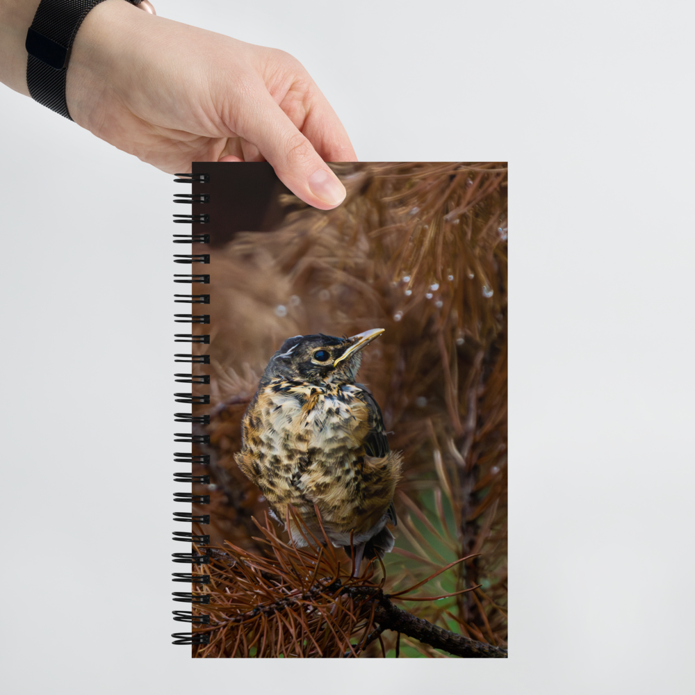 Baby Robin Spiral notebook