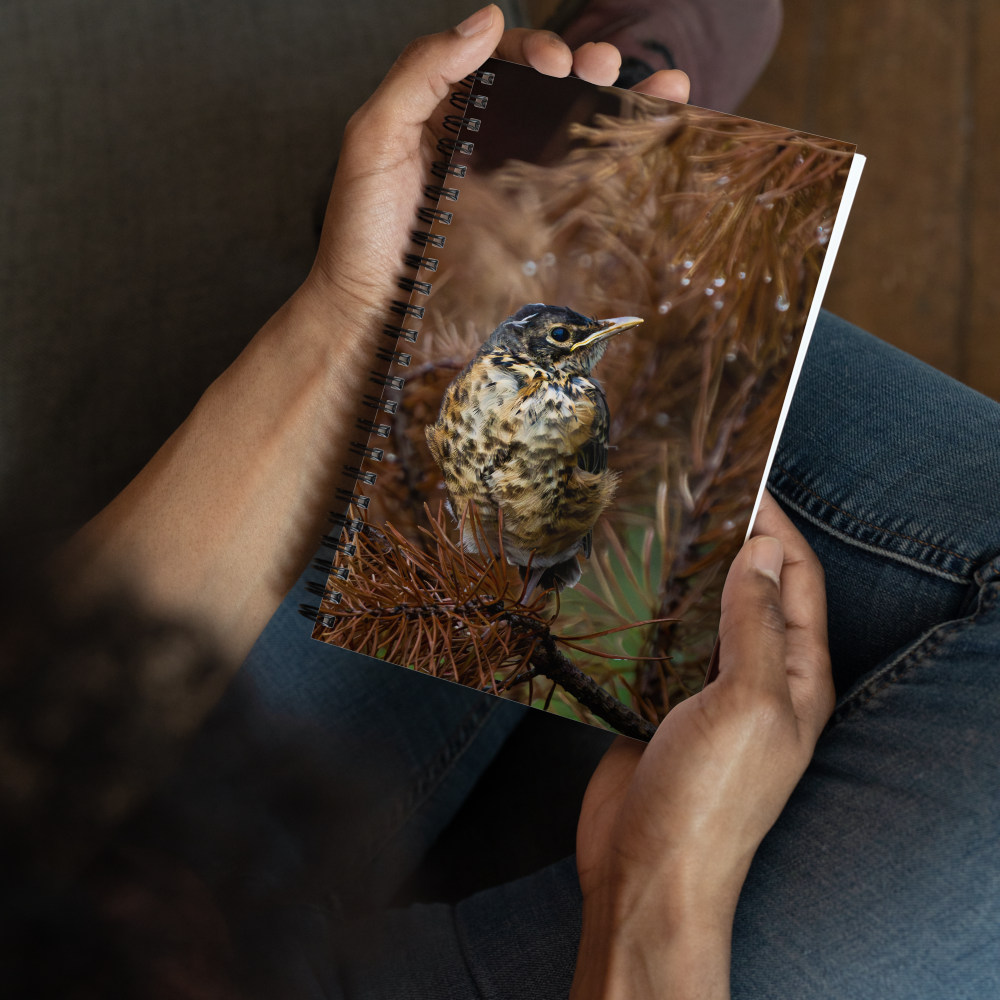 Baby Robin Spiral notebook