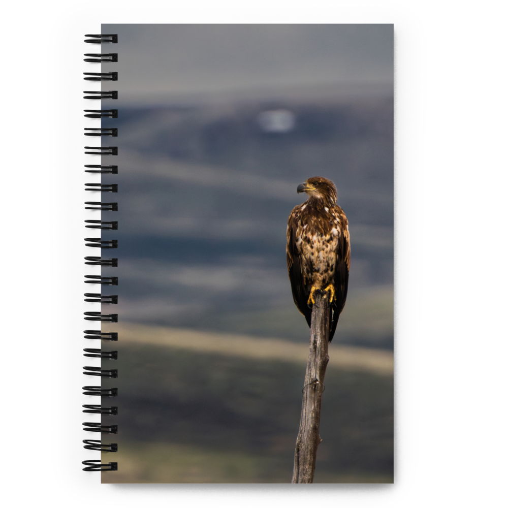 Young Bald Eagle Spiral notebook