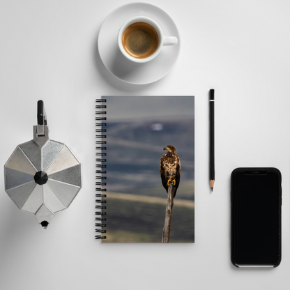 Young Bald Eagle Spiral notebook