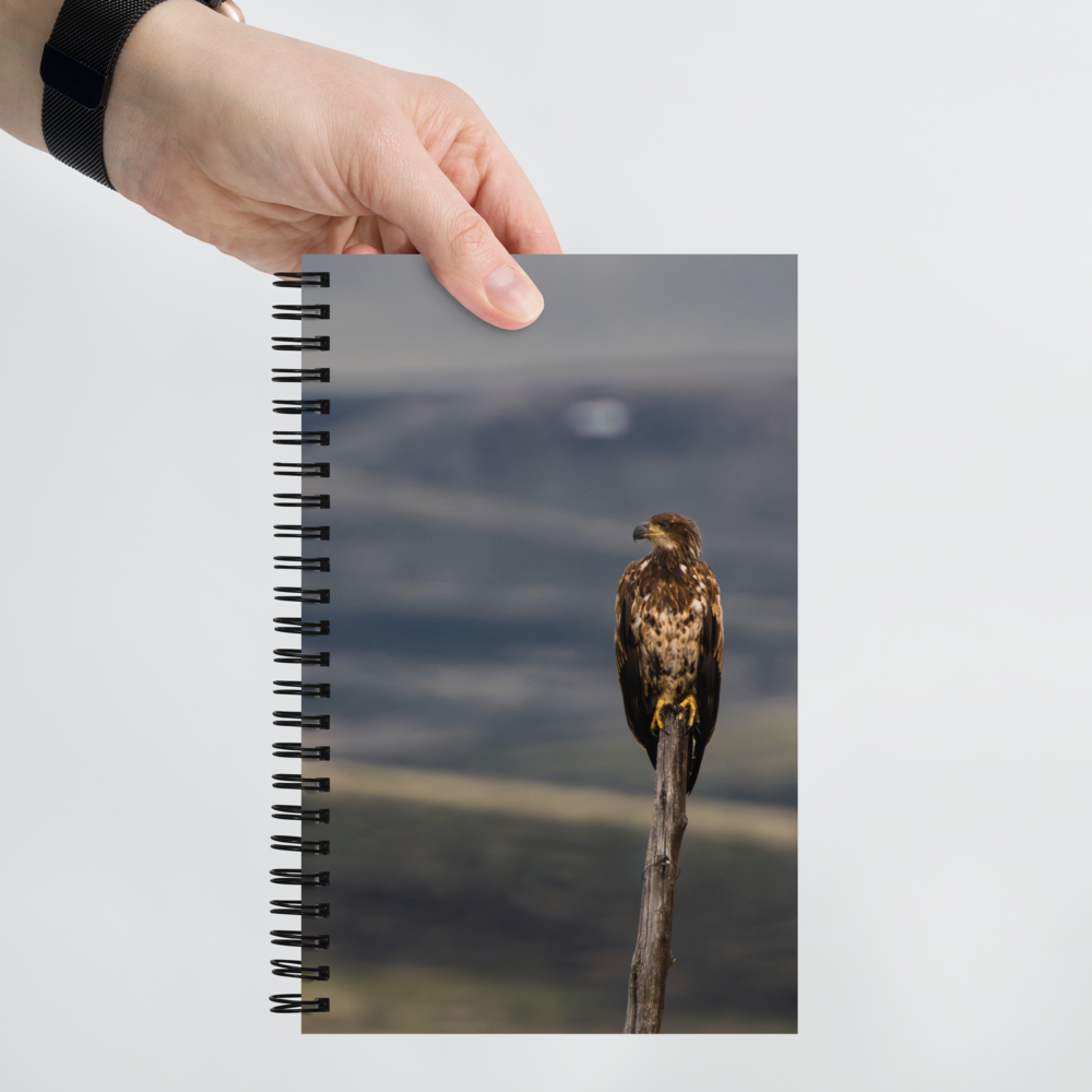 Young Bald Eagle Spiral notebook