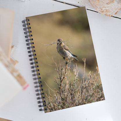 Female Mountain Bluebird Spiral notebook